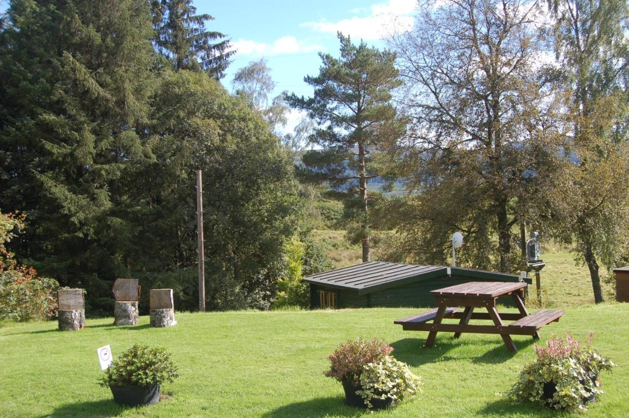 Lodge Luxury Woodland Alder