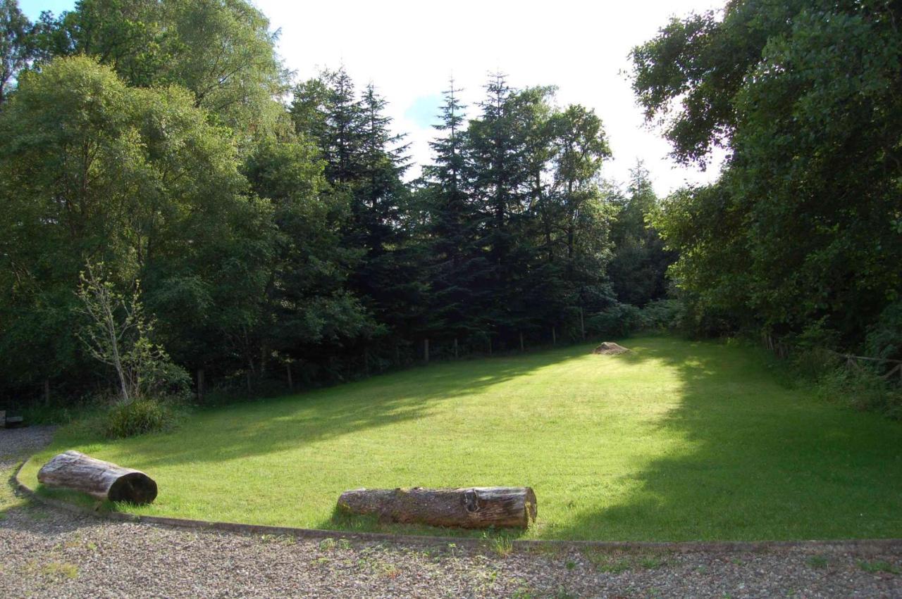 Luxury Woodland Alder Lodge *