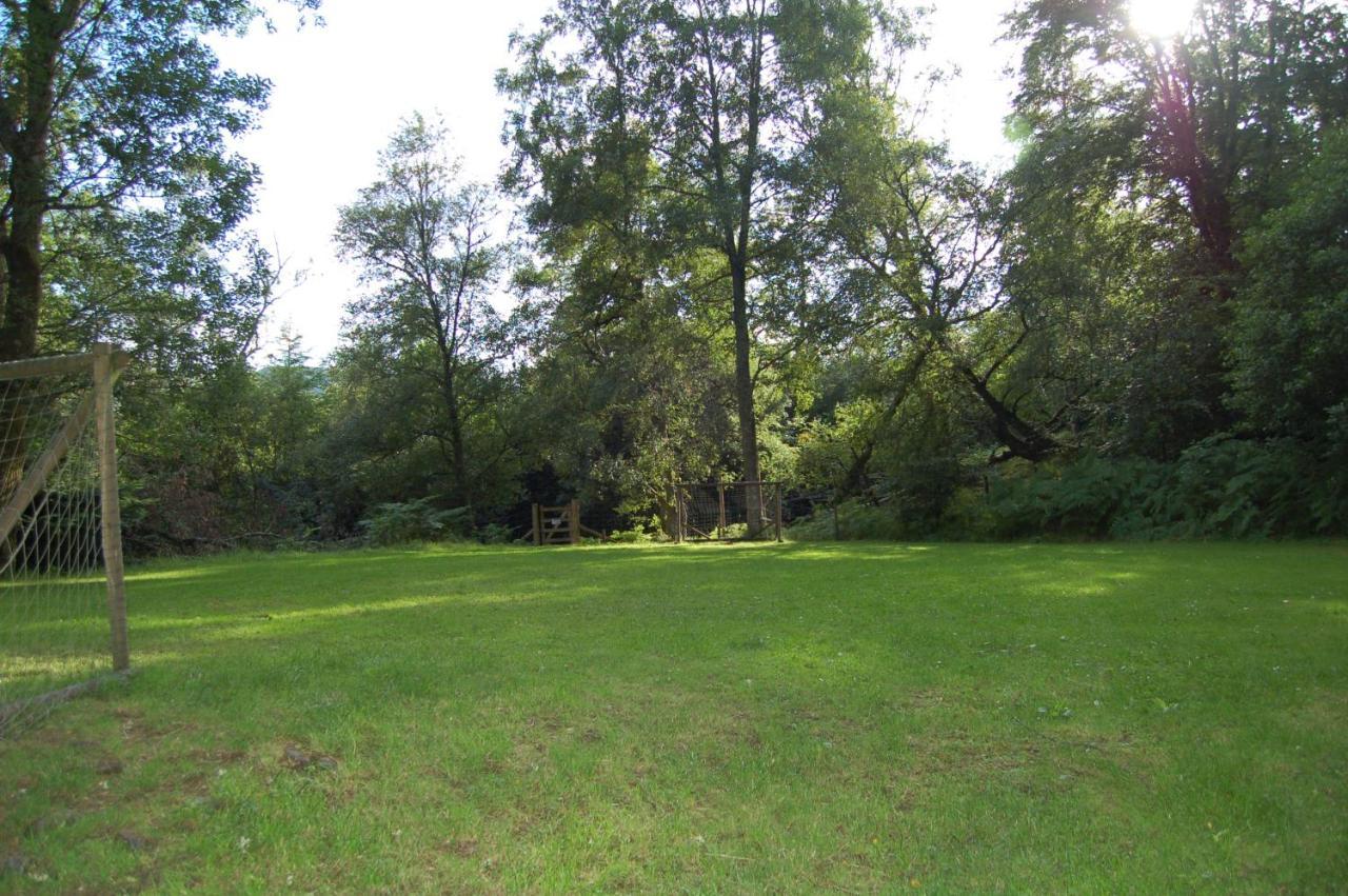 Luxury Woodland Alder *