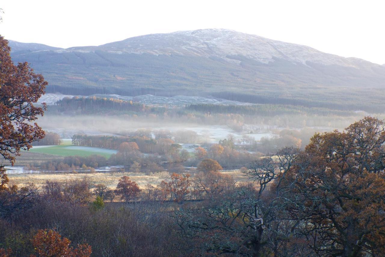 Luxury Woodland Alder * Killin