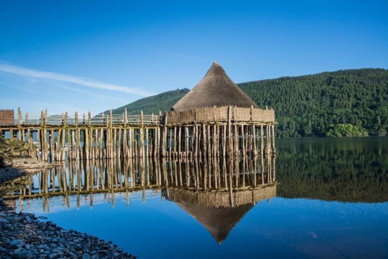 Luxury Woodland Alder Lodge Killin