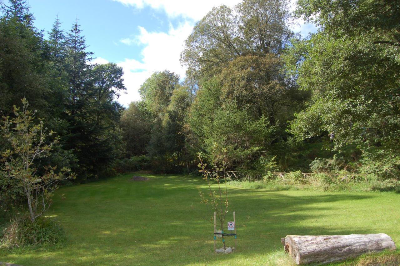 Luxury Woodland Alder Lodge Killin