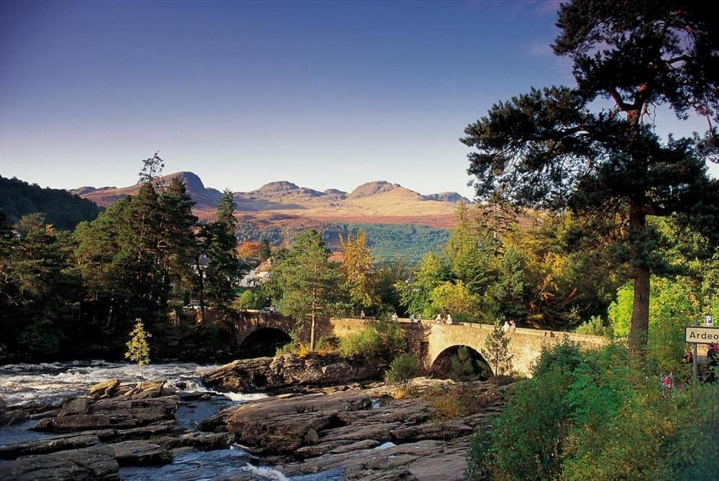 Luxury Woodland Alder Lodge